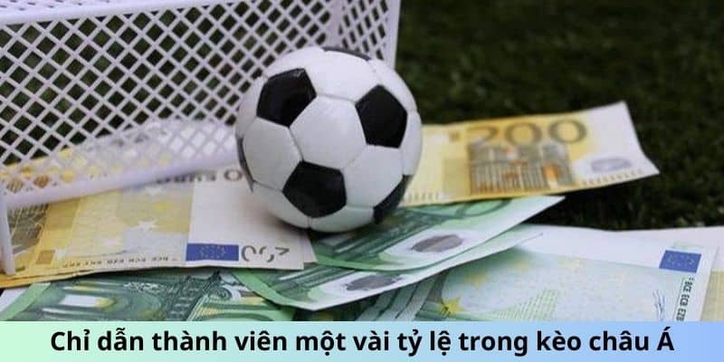 Chỉ dẫn thành viên một vài tỷ lệ trong kèo châu Á