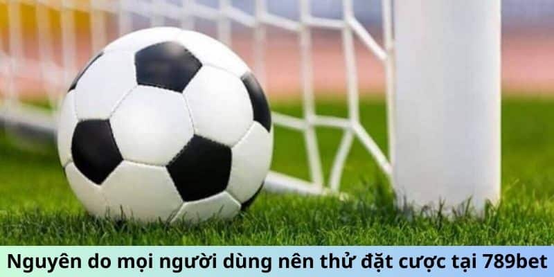 Nguyên do mọi người dùng nên thử đặt cược tại 789bet